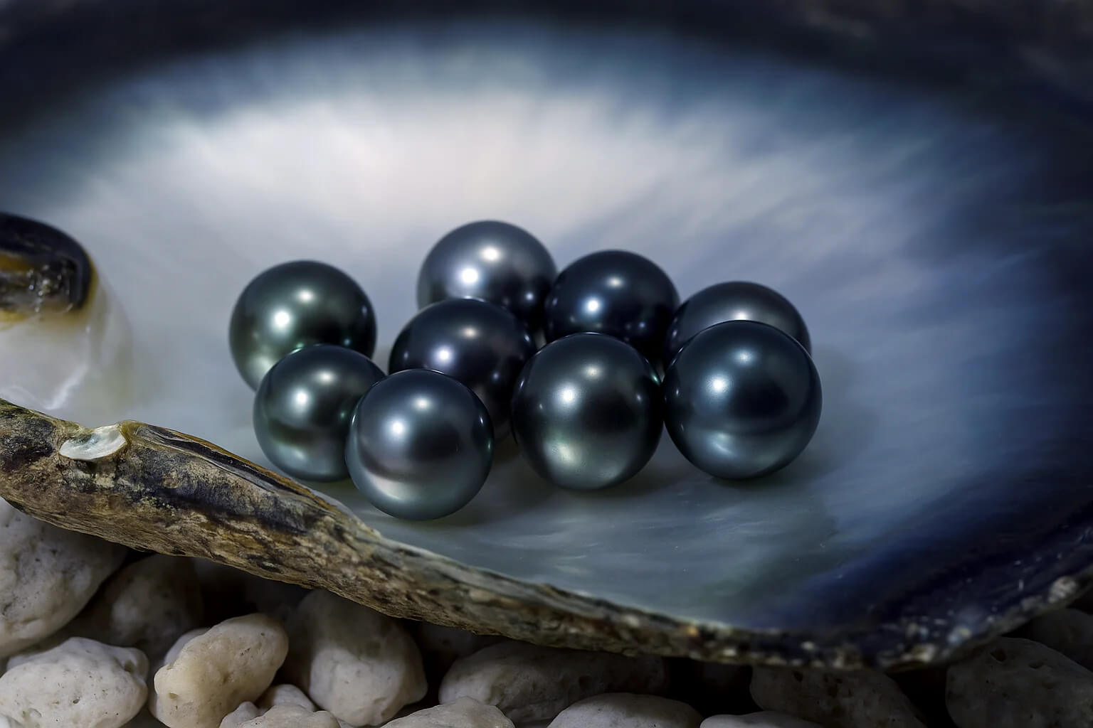 la-perle-de-tahiti-joyau-noir-du-pacifique.jpg (98 KB)