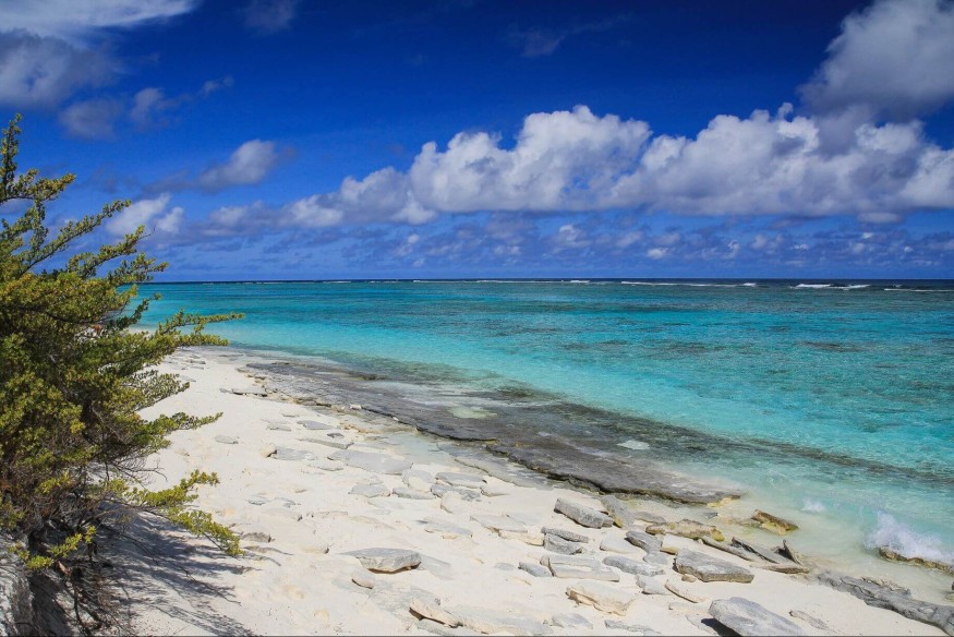 Gambier : Protection Océan Historique | 23.6 Radio