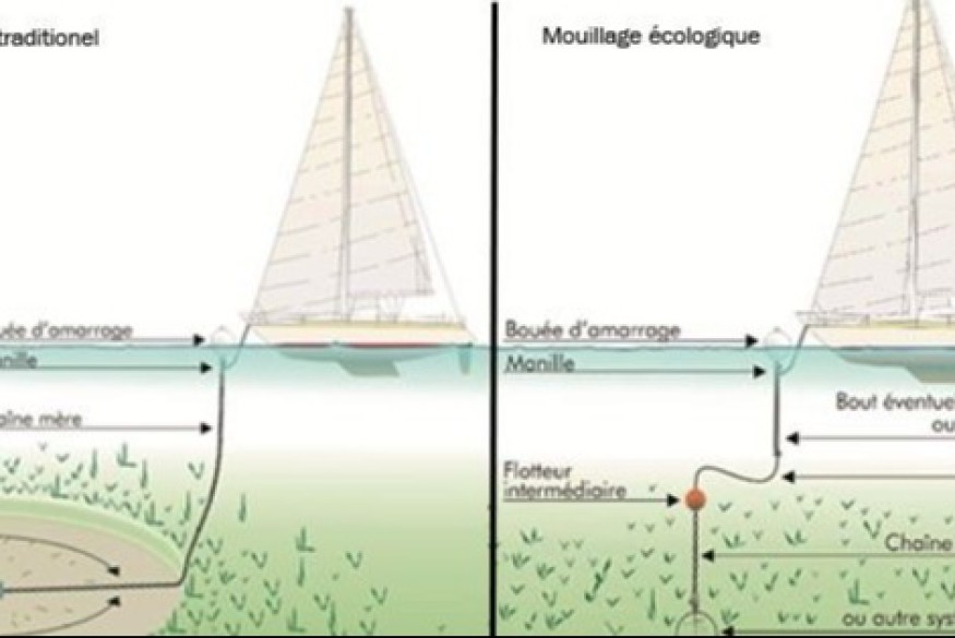 Protection des lagons : ancrages écologiques déployés | 23.6 Radio