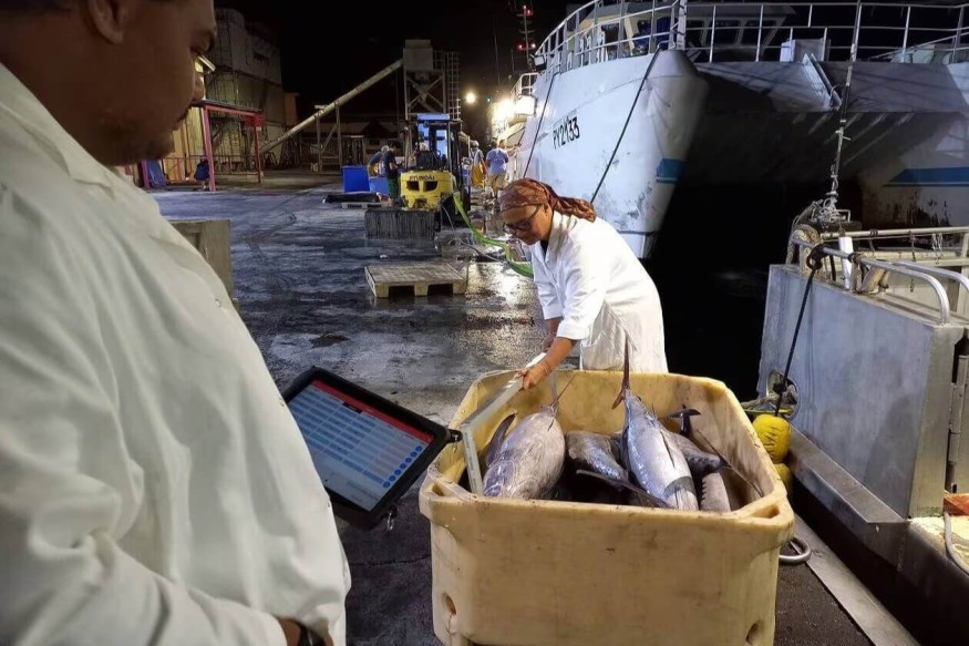 Statistiques ISPF du commerce extérieur : Les ventes de poissons du large atteignent un plus bas depuis 2018 | 23.6 Radio
